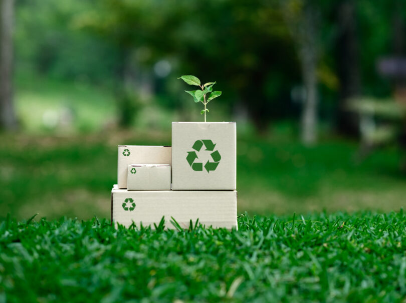 Governo direciona 30 milhões para reforçar reciclagem e valorização de resíduos