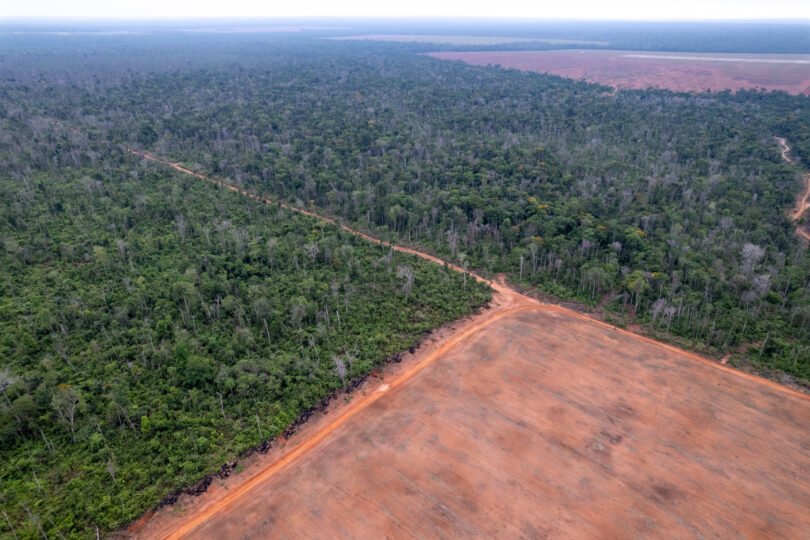 UE adia novamente entrada em vigor da lei da desflorestação
