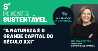 “Precisamos de um pacto para a floresta e para o território com urgência”