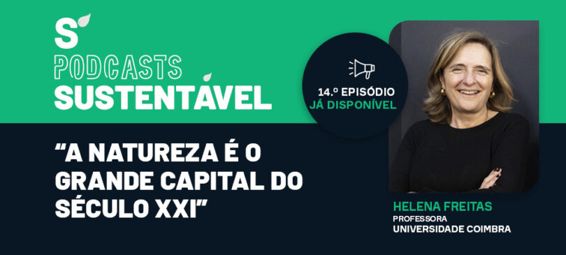 “Precisamos de um pacto para a floresta e para o território com urgência”