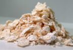 Japoneses criam plástico biodegradável através de bactérias geneticamente modificadas