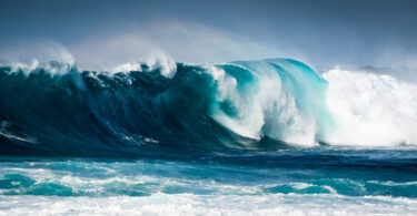 Universidade do Porto cria sistema de monitorização do oceano através da energia das ondas