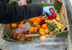 Está aberta a consulta pública para a Estratégia Nacional de Combate ao Desperdício Alimentar
