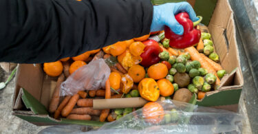 Está aberta a consulta pública para a Estratégia Nacional de Combate ao Desperdício Alimentar