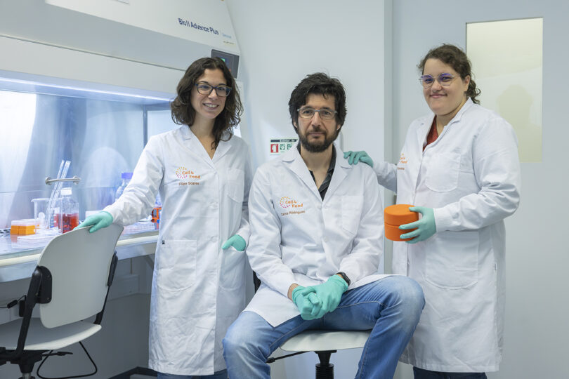 CellBlue coloca Portugal na vanguarda da biotecnologia azul com cultivo de polvo