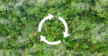 Portugal avança com cluster para acelerar inovação e circularidade empresarial