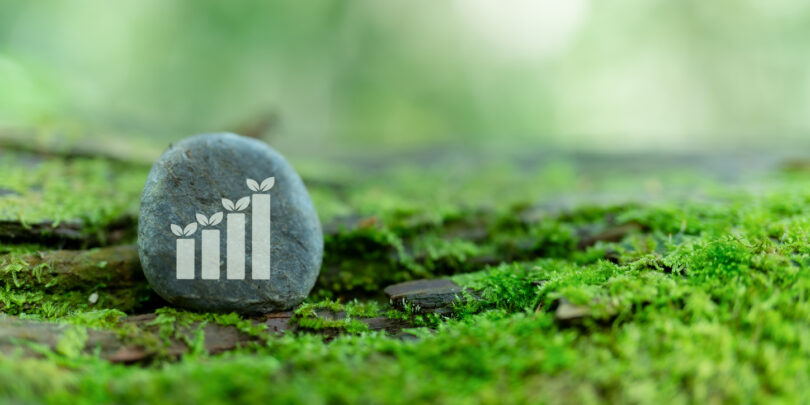 Empresas portuguesas ganham nova ‘porta de entrada’ para a certificação em biodiversidade