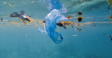 Cientistas apelam a ação global coordenada para travar a poluição marinha