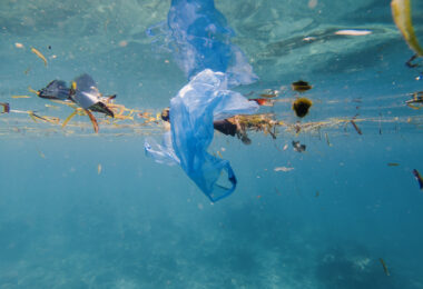 Cientistas apelam a ação global coordenada para travar a poluição marinha