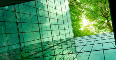 Projeto da Universidade de Coimbra pretende transformar a forma como a natureza é integrada no espaço urbano