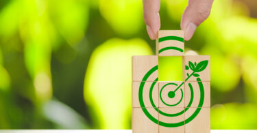 Relatório europeu lança dúvidas sobre eficácia dos projetos ambientais financiados pela UE