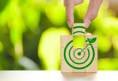 Relatório europeu lança dúvidas sobre eficácia dos projetos ambientais financiados pela UE