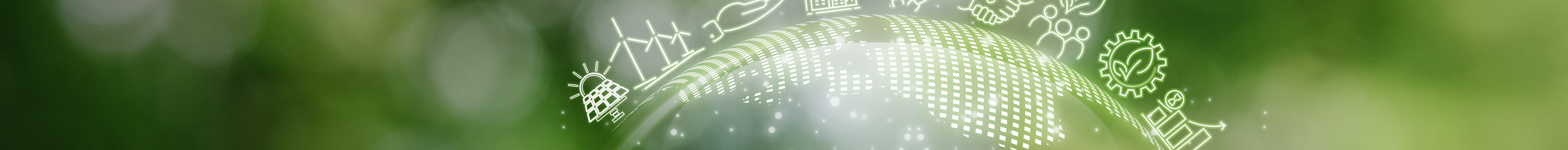 Políticas climáticas podem enfraquecer valores ambientais, alertam investigadores