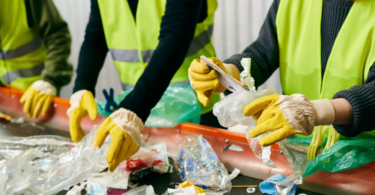 Reciclagem de embalagens cresceu em 2025, mas Portugal fica aquém das metas europeias