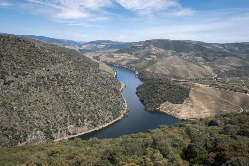 CCDR NORTE e LNEG unem-se para promover o desenvolvimento regional sustentável