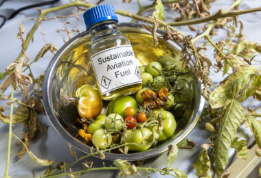 Descarbonização da aviação: Como novos projetos estão a ‘mudar o jogo’