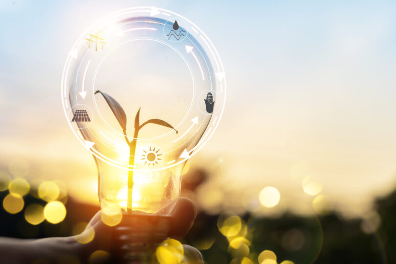 Inovação energética mundial entra numa “nova fase”, segundo a IEA