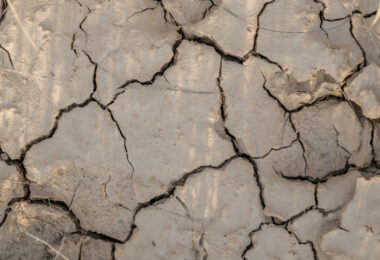 Degradação dos solos ameaça a indústria de beleza, alertou relatório