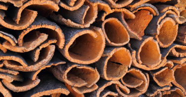 Indústria da cortiça ‘ganha’ nova plataforma digital para acelerar a descarbonização