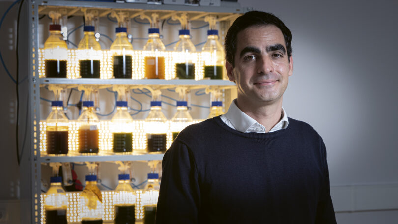 A ciência das algas que quer chegar ao mercado