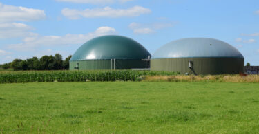 Bioenergia avançada apontada como resposta à volatilidade nos mercados de energia