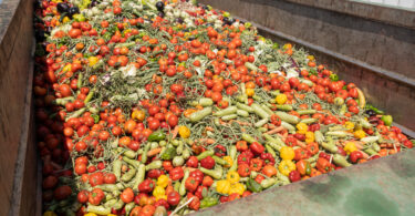 Projeto europeu quer converter desperdício alimentar em plástico