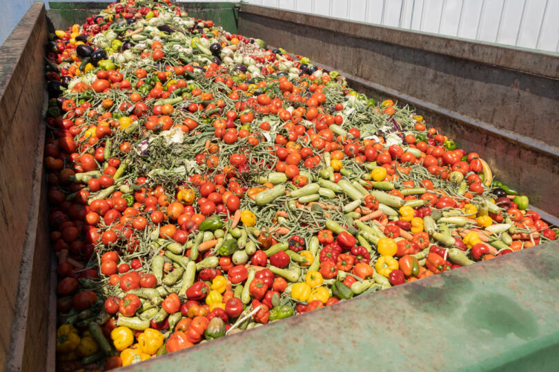 Projeto europeu quer converter desperdício alimentar em plástico