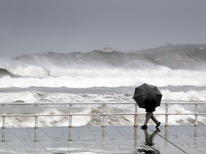 Soluções Baseadas na Natureza podem mitigar danos das tempestades em Portugal