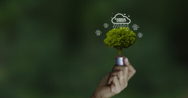 Portugal junta-se a quatro países na defesa do mercado de carbono da UE