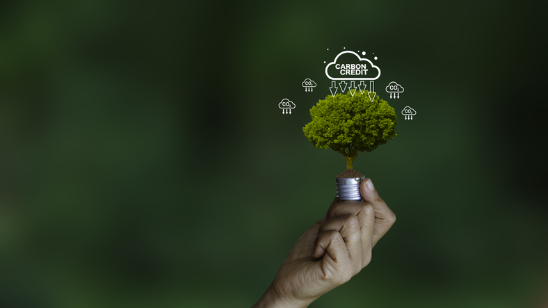Portugal junta-se a quatro países na defesa do mercado de carbono da UE