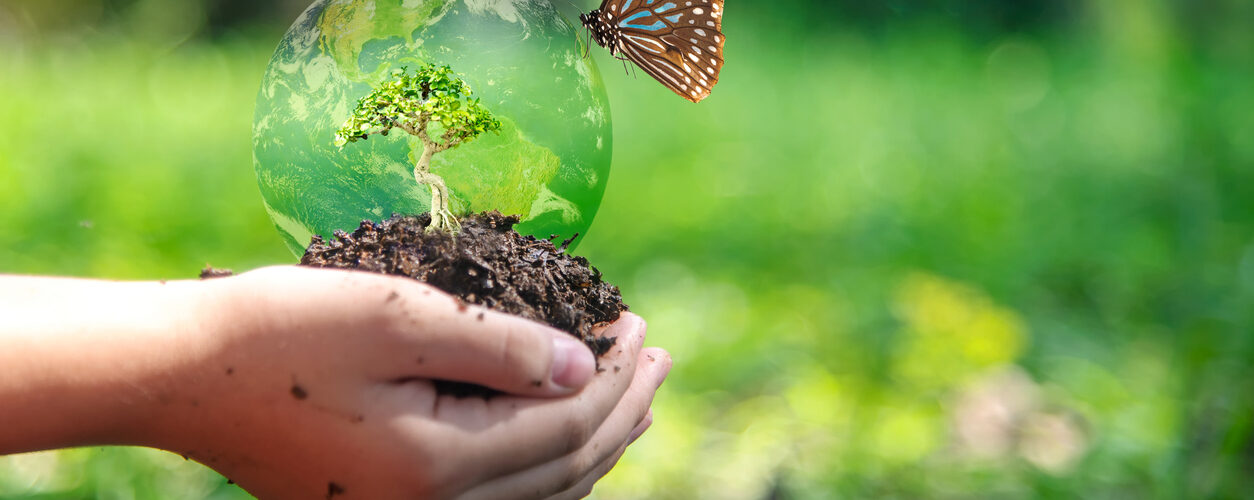 Ainda vamos a tempo? Os caminhos para travar a perda de biodiversidade