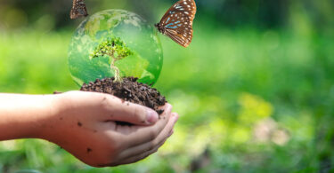 Ainda vamos a tempo? Os caminhos para travar a perda de biodiversidade