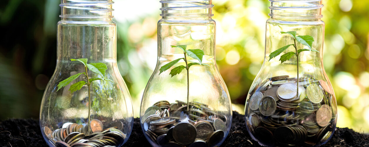 O custo invisível da perda de biodiversidade na economia portuguesa