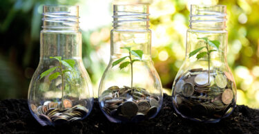 O custo invisível da perda de biodiversidade na economia portuguesa