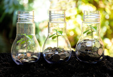 O custo invisível da perda de biodiversidade na economia portuguesa