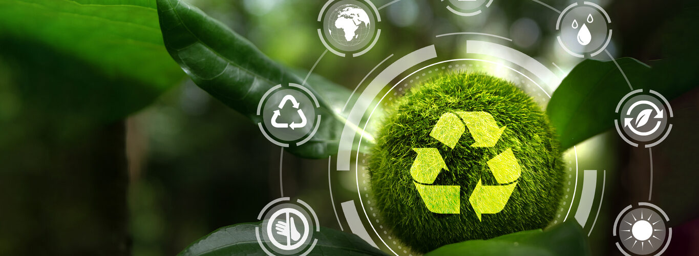 Novo plano nacional define estratégia para acelerar economia circular até 2030