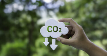 Novo Fundo europeu para descarbonização levanta dúvidas sobre gestão e impacto, alerta TCE