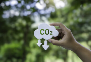 Novo Fundo europeu para descarbonização levanta dúvidas sobre gestão e impacto, alerta TCE