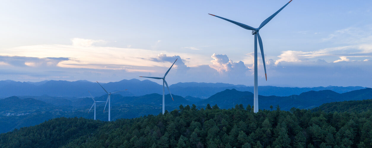 Renováveis devem crescer até 2050, mas ritmo pode não cumprir objetivo de 1,5°C