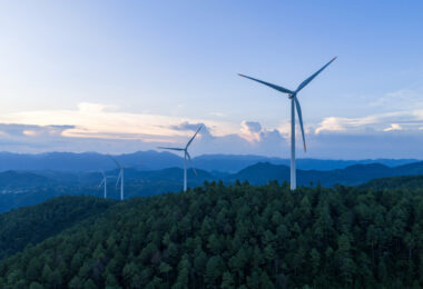 Renováveis devem crescer até 2050, mas ritmo pode não cumprir objetivo de 1,5°C