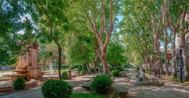 Soluções baseadas na natureza podem reduzir até 40% do stress térmico urbano