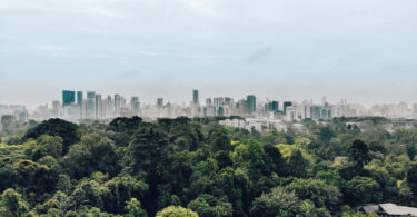 Estudo sugere restauro estratégico de ecossistemas para melhorar gestão do território