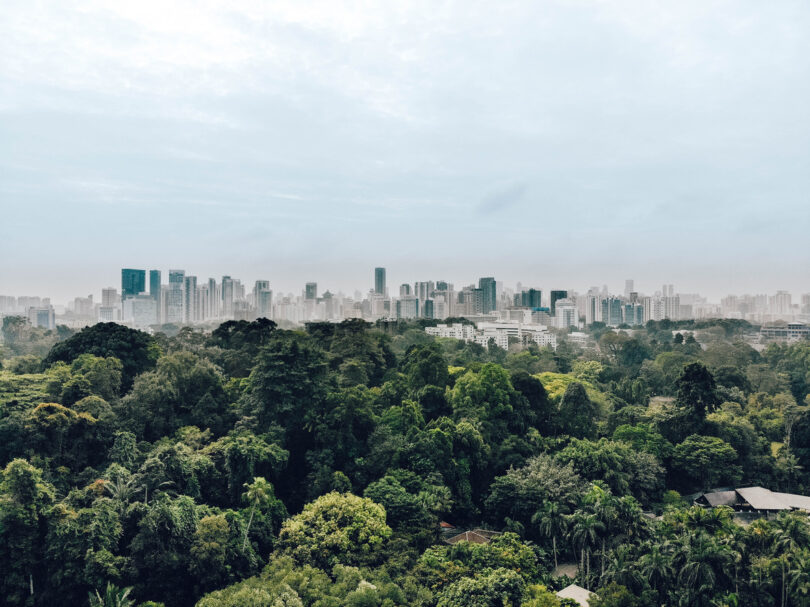 Estudo sugere restauro estratégico de ecossistemas para melhorar gestão do território