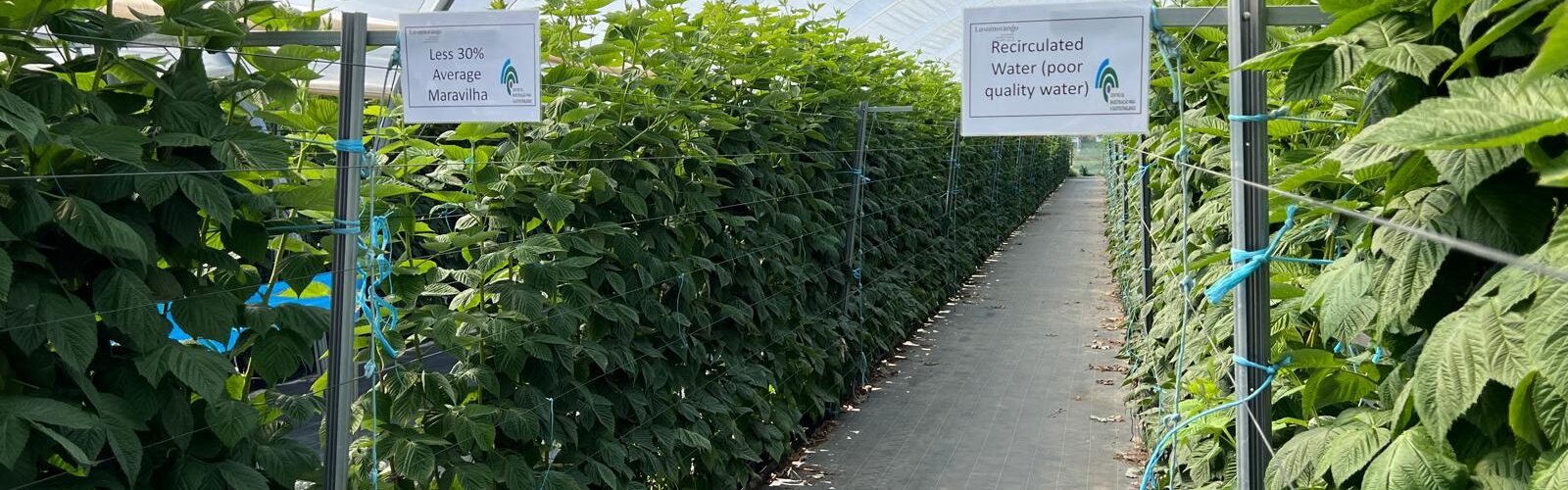 O Centro de Investigação para a Sustentabilidade (CIS), sediado no Pólo de Inovação da Fataca, em Odemira, formalizou a constituição do seu Conselho Consultivo, um órgão de natureza não vinculativa que terá como função acompanhar e aconselhar as atividades desenvolvidas no âmbito do projeto.
