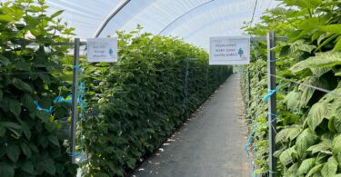 O Centro de Investigação para a Sustentabilidade (CIS), sediado no Pólo de Inovação da Fataca, em Odemira, formalizou a constituição do seu Conselho Consultivo, um órgão de natureza não vinculativa que terá como função acompanhar e aconselhar as atividades desenvolvidas no âmbito do projeto.