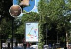 Mobiliário urbano vegetalizado em Paris atrai aves e polinizadores