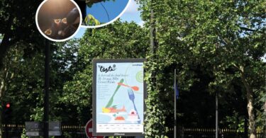 Mobiliário urbano vegetalizado em Paris atrai aves e polinizadores