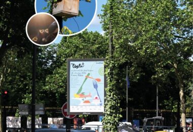 Mobiliário urbano vegetalizado em Paris atrai aves e polinizadores