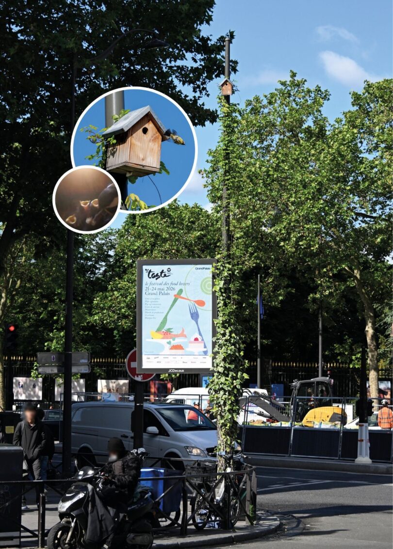 Mobiliário urbano vegetalizado em Paris atrai aves e polinizadores
