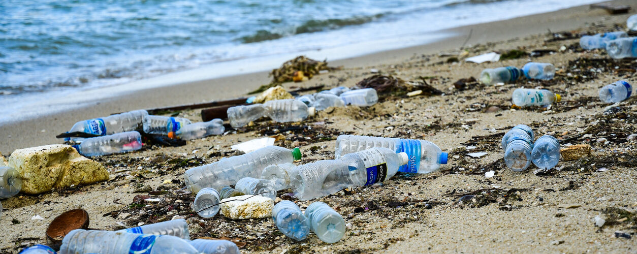 Plásticos descartáveis são o principal resíduo encontrado nas zonas costeiras a nível mundial